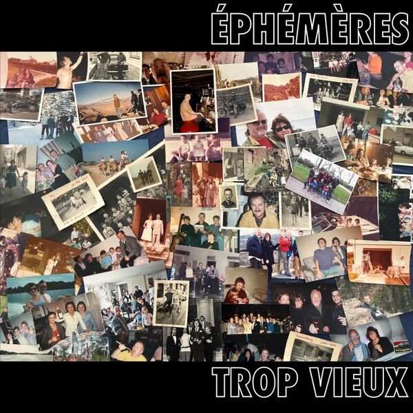 Cover art for Trop Vieux